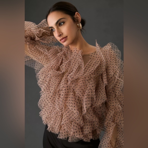 Anthropologie Tops - Anthropologie Dolan Left Coast Mesh Ruffle Top